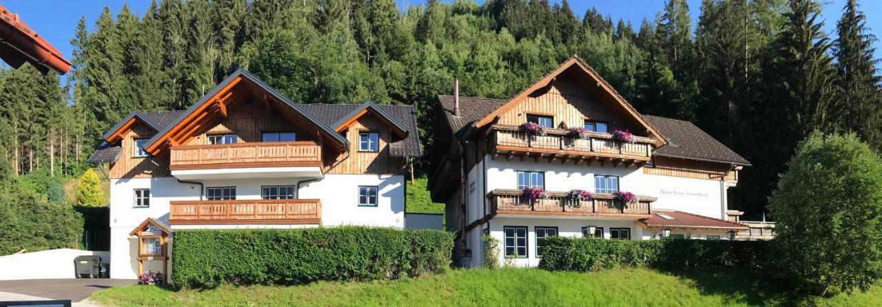 Platzhirsch Apartment Haus im Ennstal Exterior photo